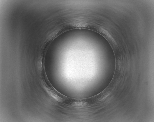 X0000071350541200606301655