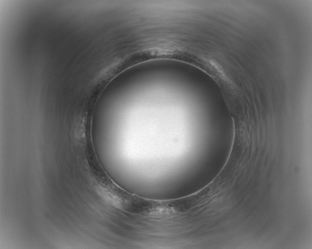 X0000071350543200606301655