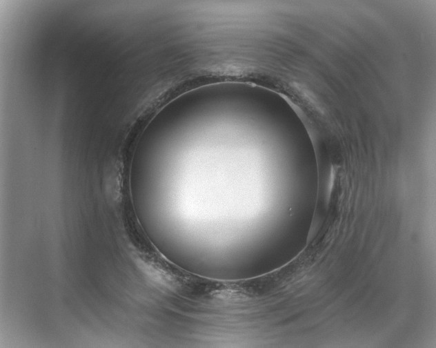 X0000071350544200606301655