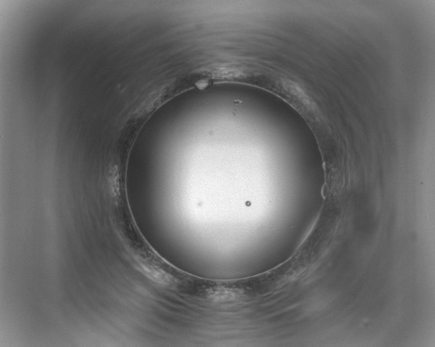 X0000071350549200606301655