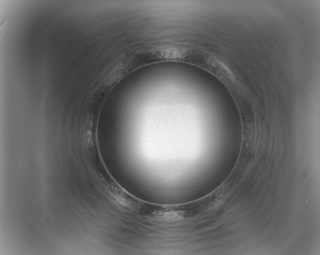 X0000071350553200606301655