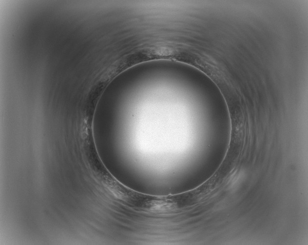 X0000071350555200606301655