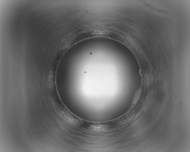 X0000071350557200606301655