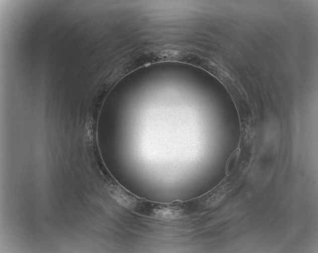 X0000071350561200606301655