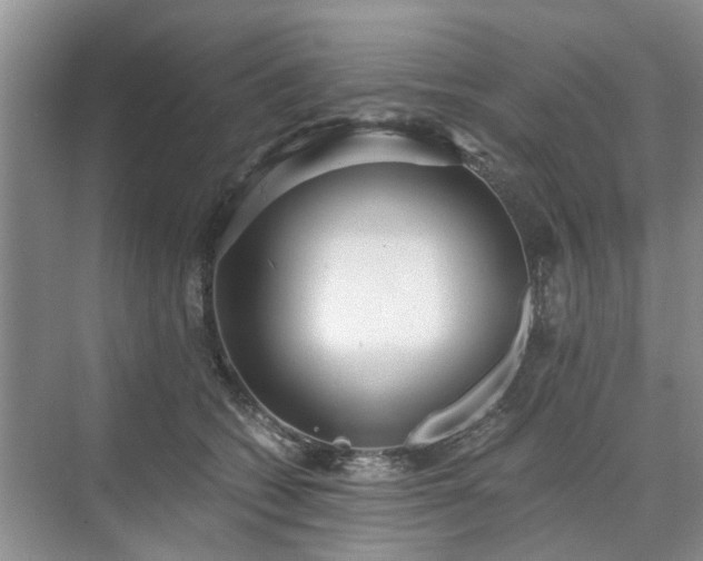 X0000071350562200606301655