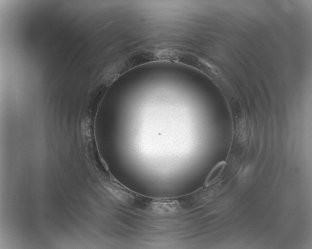 X0000071350571200606301655