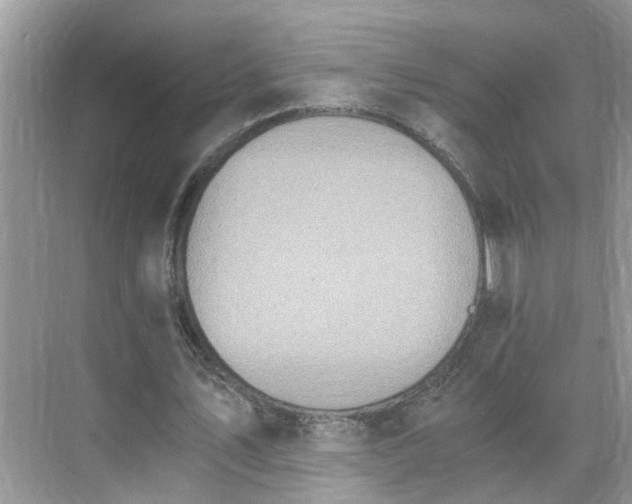 X0000071350579200606301654