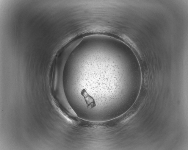 X0000071350581200606301654