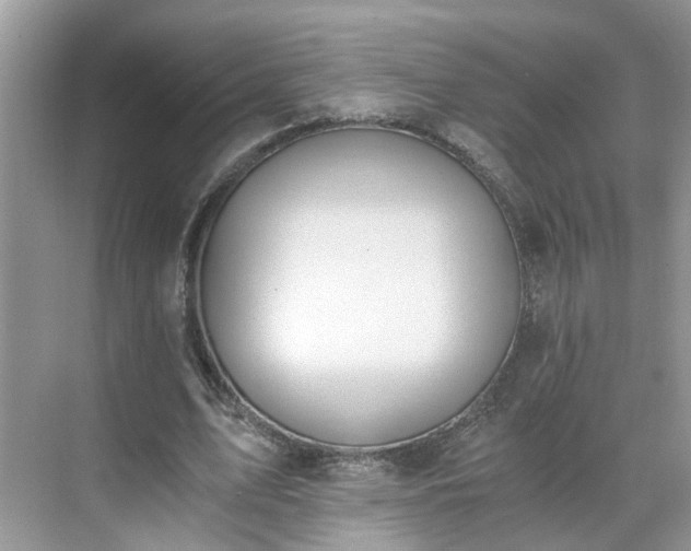 X0000071350583200606301654