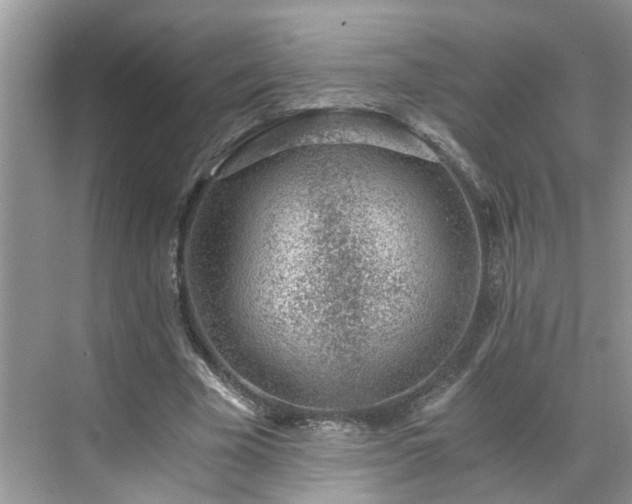 X0000071350585200606301654