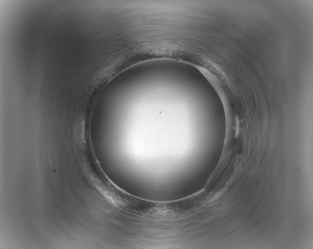 X0000071350589200606301654