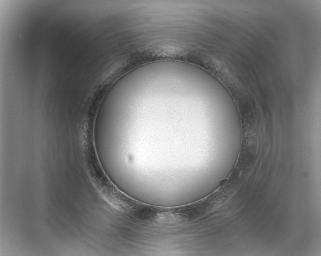 X0000071350591200606301654