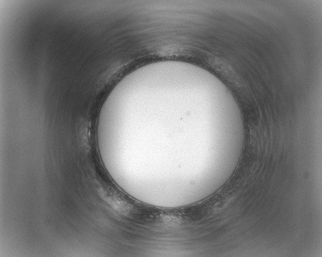 X0000071350592200606301654