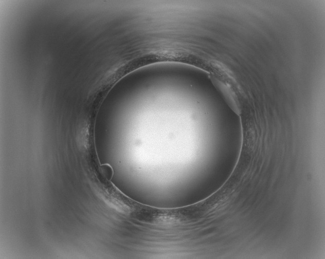 X0000071350596200606301654