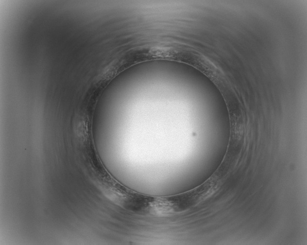 X0000071350603200606301654