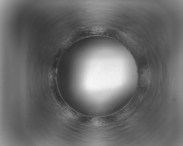 X0000071350608200606301654