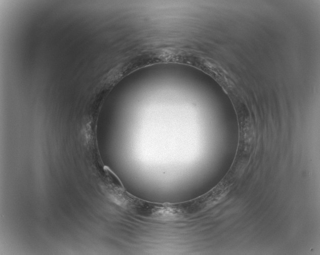 X0000071350611200606301654