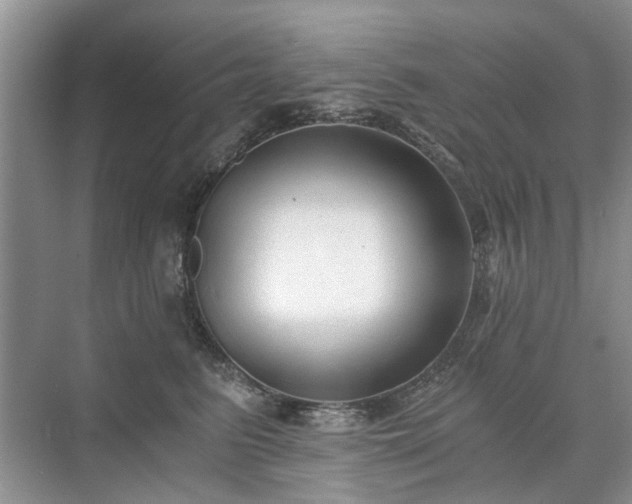 X0000071350615200606301654