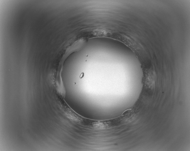 X0000071350616200606301654