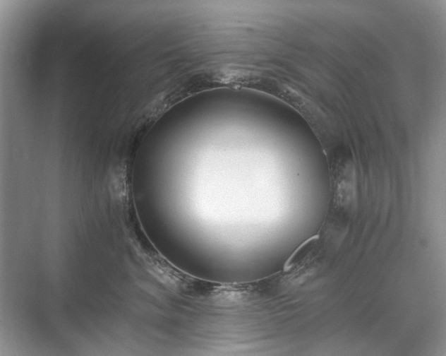 X0000071350620200606301654