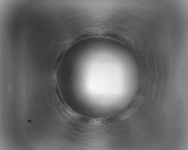 X0000071350624200606301654