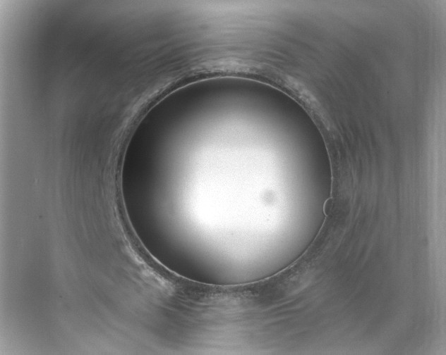 X0000071350625200606301653