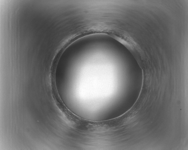 X0000071350626200606301653