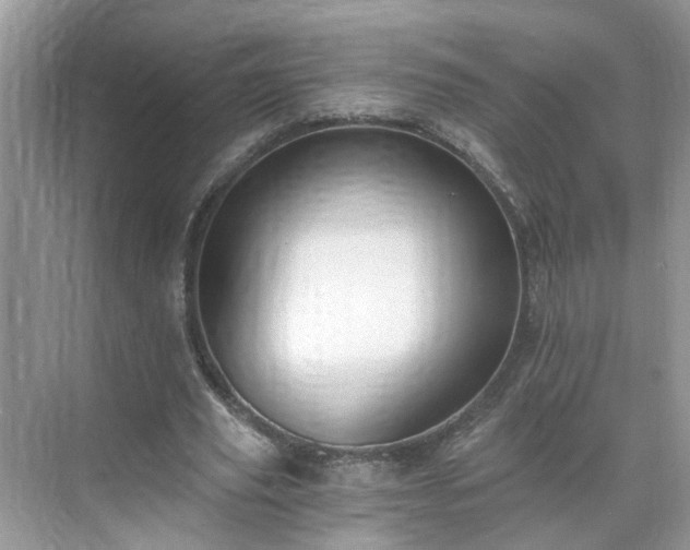 X0000071350629200606301653