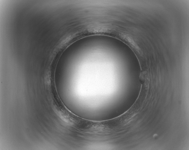 X0000071350631200606301653