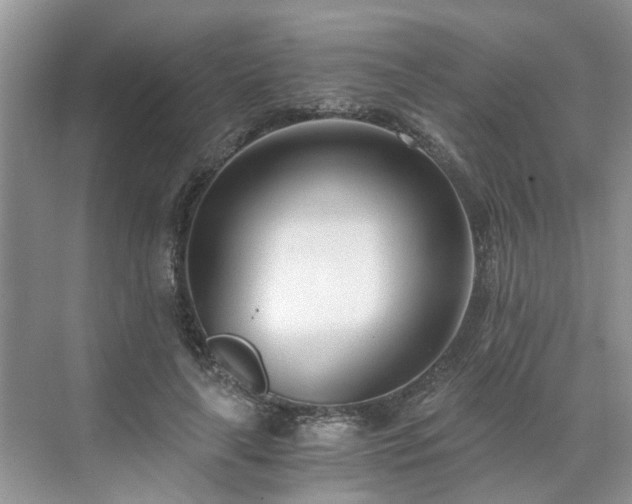 X0000071350643200606301653