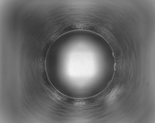 X0000071350653200606301653