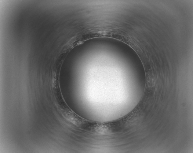 X0000071350656200606301653