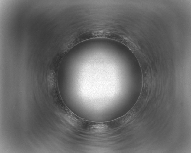 X0000071350659200606301653