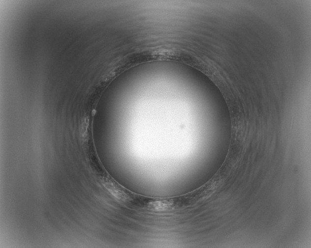 X0000071350660200606301653