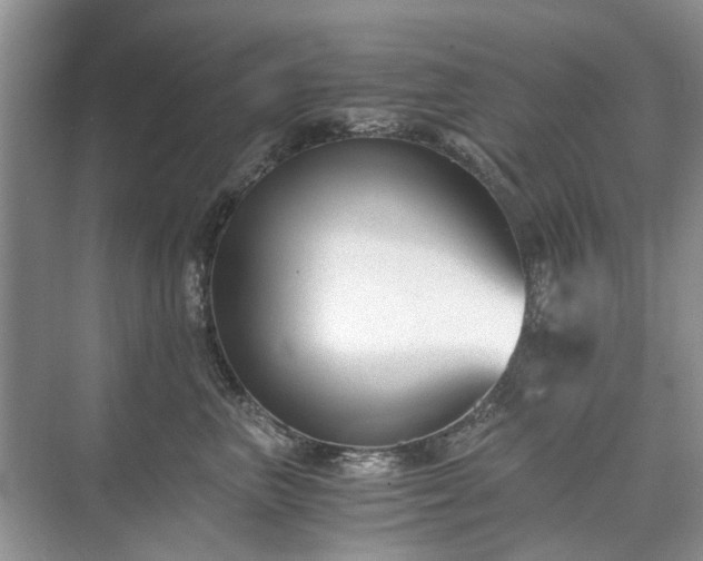 X0000071350667200606301654