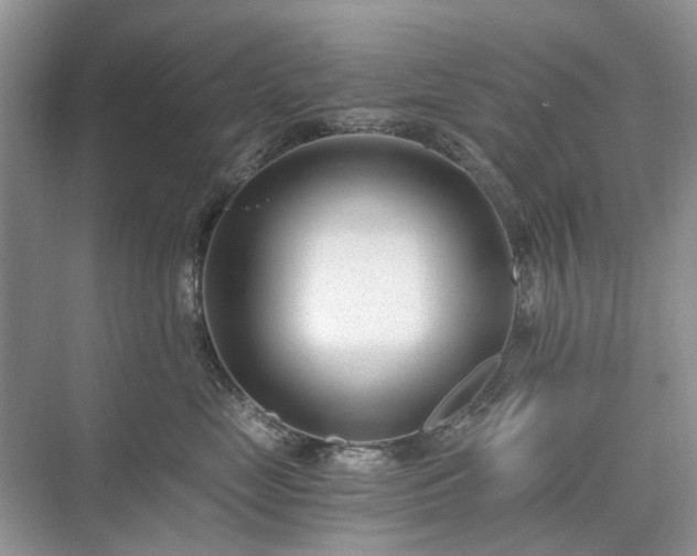 X0000071350669200606301654