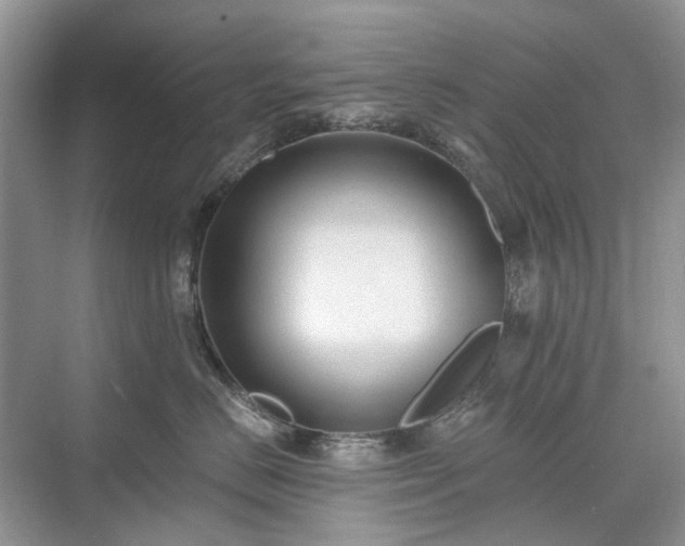 X0000071350670200606301654