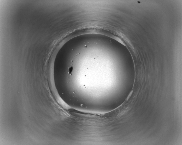 X0000071350673200606301653