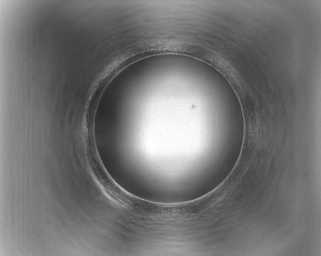 X0000071350674200606301653