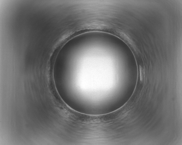 X0000071350675200606301653