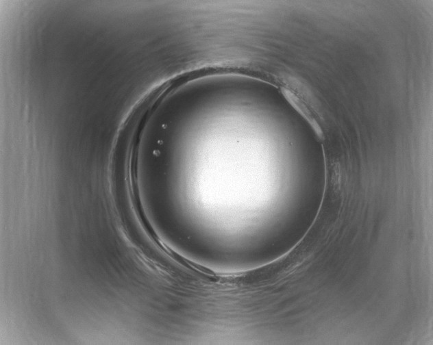 X0000071350676200606301653