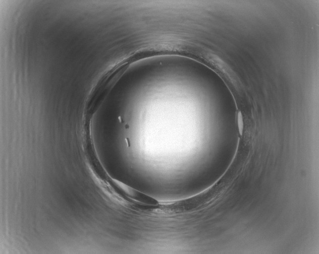 X0000071350677200606301653