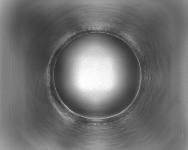 X0000071350678200606301653