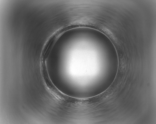 X0000071350680200606301653