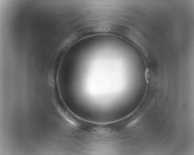 X0000071350681200606301653