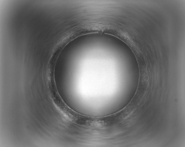 X0000071350683200606301653