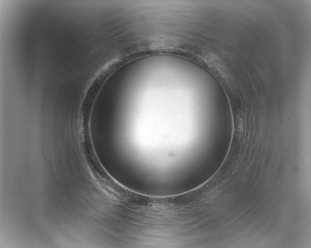 X0000071350684200606301653