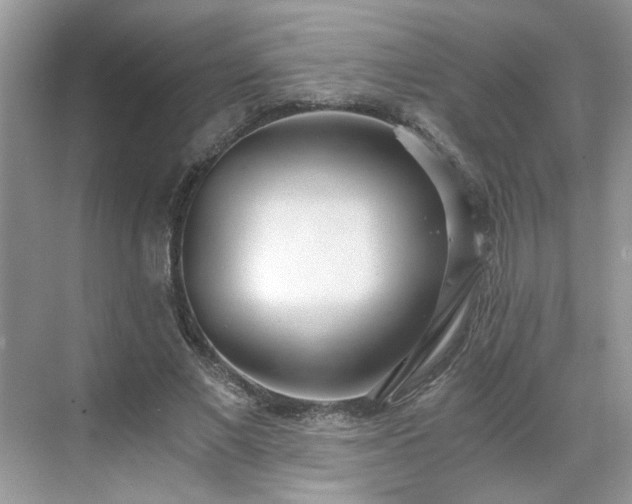 X0000071350685200606301653