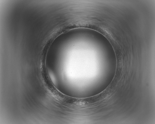 X0000071350687200606301653