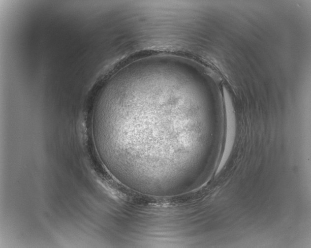 X0000071350688200606301653